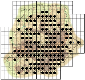 Faurea saligna Waterberg distribution